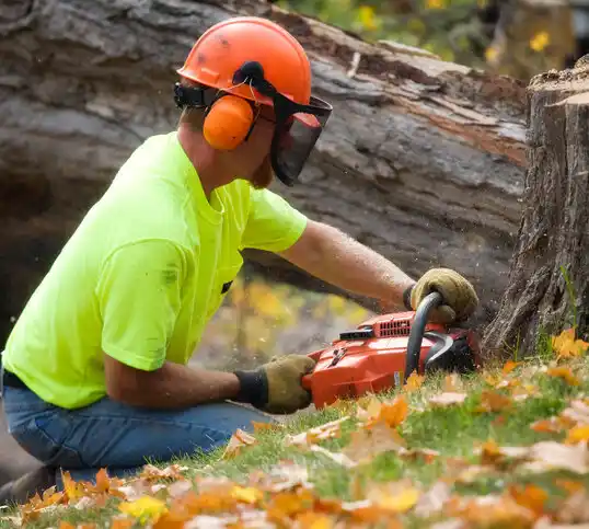 tree services Massac